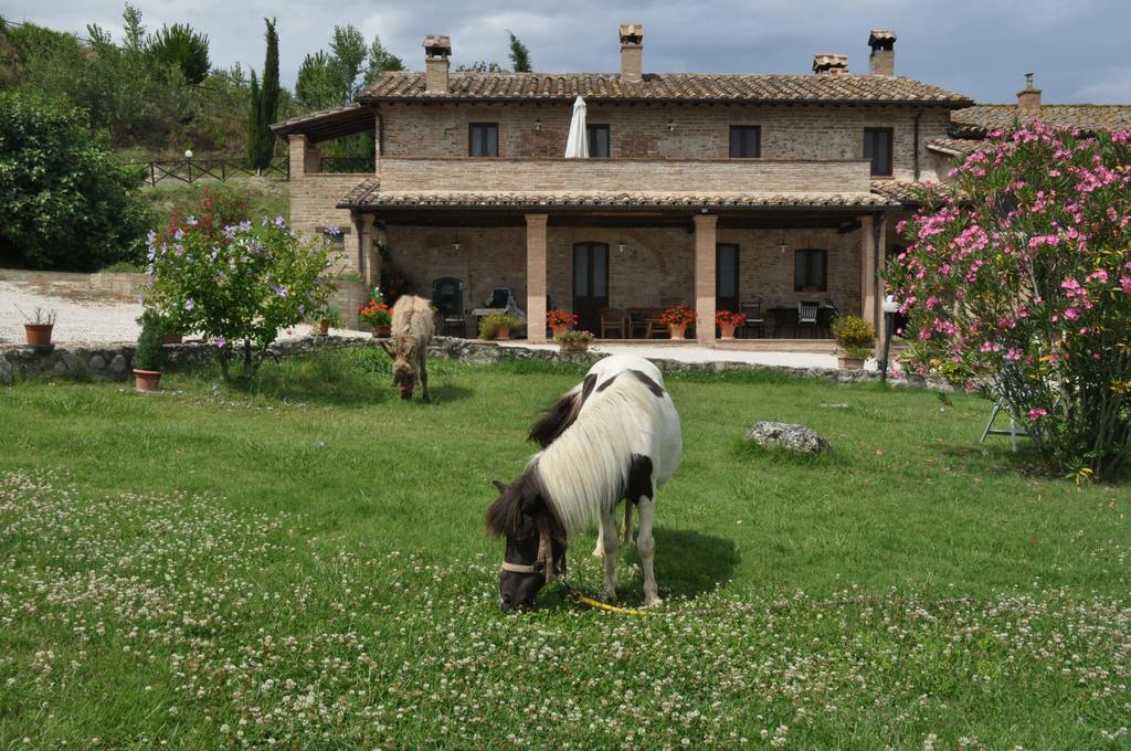 Farm Stay Il Carro Del Colle Collevalenza Dış mekan fotoğraf