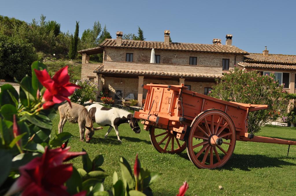 Farm Stay Il Carro Del Colle Collevalenza Dış mekan fotoğraf