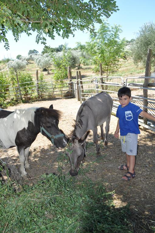 Farm Stay Il Carro Del Colle Collevalenza Dış mekan fotoğraf