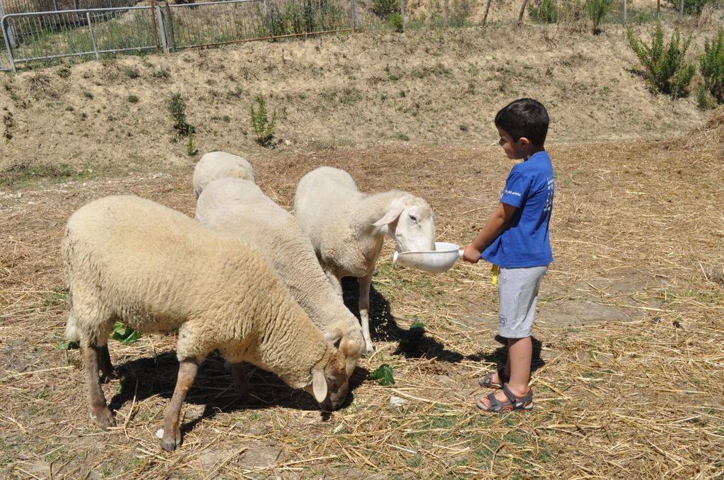 Farm Stay Il Carro Del Colle Collevalenza Dış mekan fotoğraf